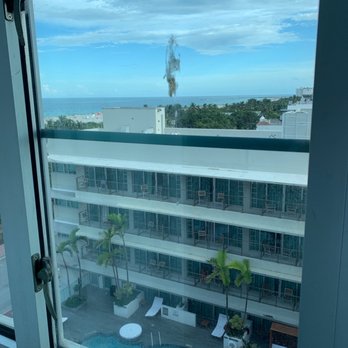 Hotel Victor South Beach - Bird poop on the windows - Hotels Near Me - Miami Beach, Florida Hotel Victor South Beach - Bird poop on the windows - Hotels Near Me - Miami Beach, Florida
