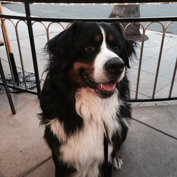 Nine-Ten - He enjoyed the patio dining!!! - Bars Near Me - La Jolla, California Nine-Ten - He enjoyed the patio dining!!! - Bars Near Me - La Jolla, California