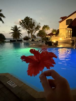 Carambola Beach Resort St. Croix, US Virgin Islands by null