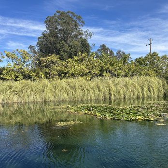 Cornerstone - Cornerstone gardens - Venues & Event Spaces Near Me - Sonoma, California Cornerstone - Cornerstone gardens - Venues & Event Spaces Near Me - Sonoma, California