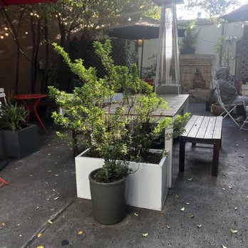 SIGNAL Coffee Roasters - Quiet patio garden with several seating options. - Coffee & Tea Near Me - Alameda, California SIGNAL Coffee Roasters - Quiet patio garden with several seating options. - Coffee & Tea Near Me - Alameda, California