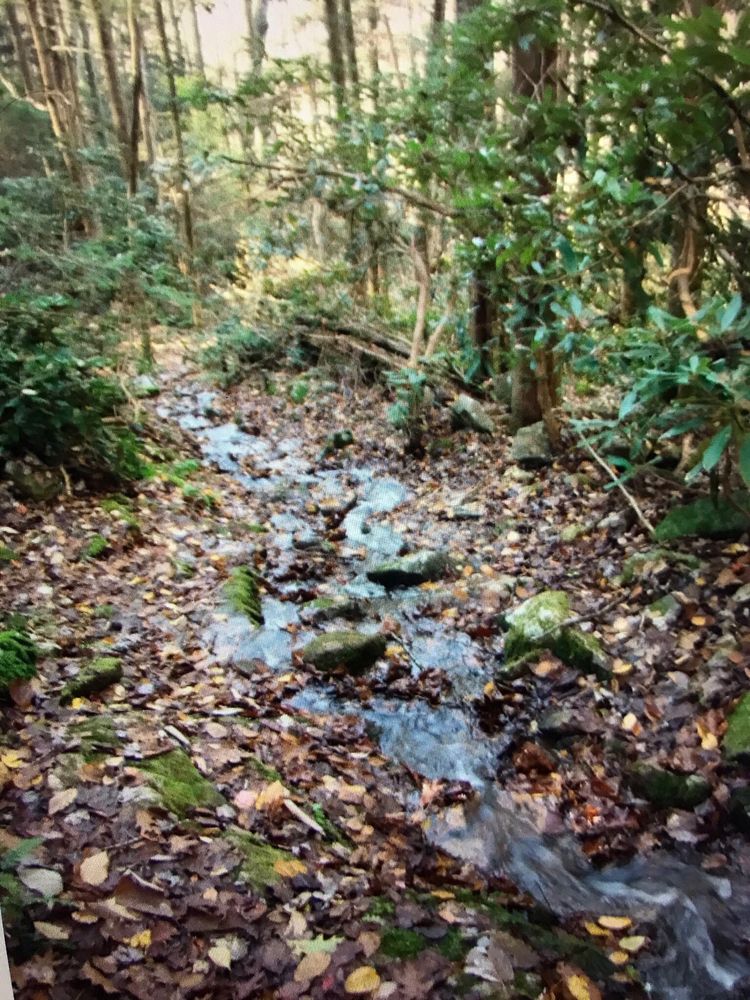 BREAKS INTERSTATE PARK CAMPGROUND 21 Photos Campgrounds 627