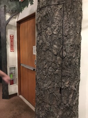 South Shore Natural Science Center