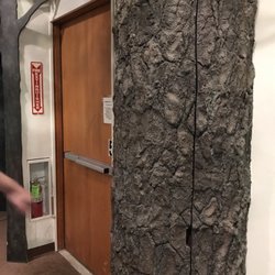 South Shore Natural Science Center - Love this tree exhibit... look