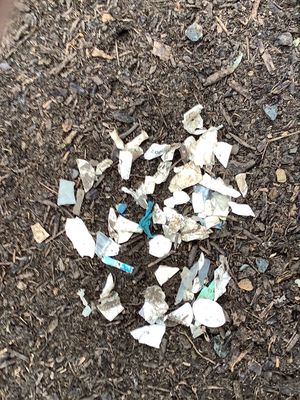 Green Earth Technology