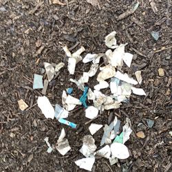 Green Earth Technology - Yard contamination in 3 square feet!