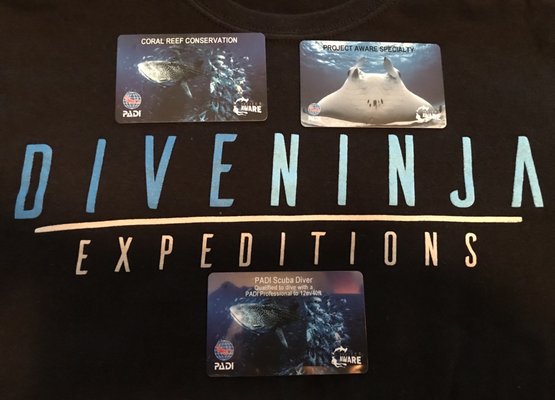 Dive Ninja Expeditions by null