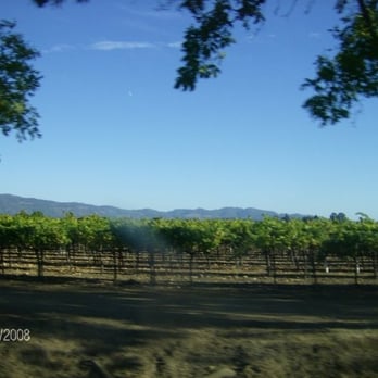 Max Wine Tours - Wine Tours Near Me