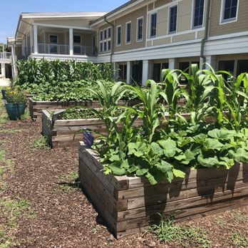 Sullivan's Island Elementary School - Student gardens - Elementary Schools Near Me - Sullivan's Island, South Carolina Sullivan's Island Elementary School - Student gardens - Elementary Schools Near Me - Sullivan's Island, South Carolina