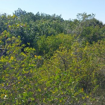 Big Cypress Bend Boardwalk - Parks Near Me - Naples, Florida