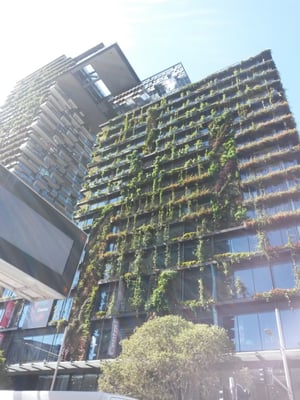 Central Park Mall by null