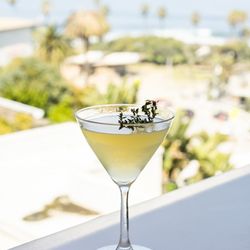 Georges at the Cove - Honey Thyme Cocktail