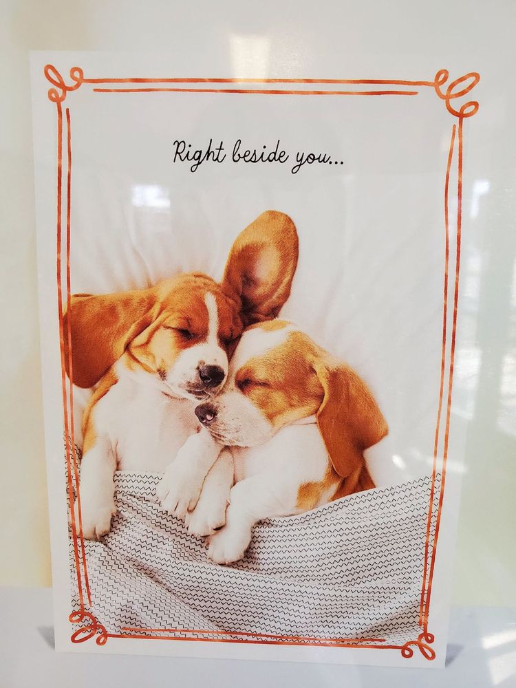 US POST OFFICE 20 Photos 647 SW Cherry Park Rd, Troutdale, Oregon