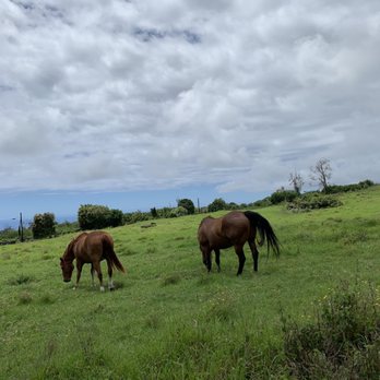 Ho'omau Ranch - ATV Rentals/Tours Near Me - Captain Cook, Hawaii