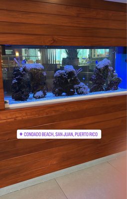 Condado Palm Inn San Juan, Tapestry Collection by Hilton by null