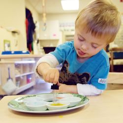 The Montessori Academy of Arlington - Toddler Science: Color Mixing