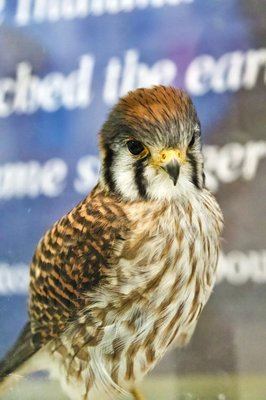 Indiana Dunes Visitor Center by null