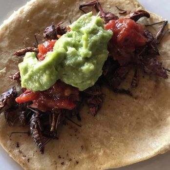 La No. 20 - Grasshopper taco - Mexican Near Me - Ciudad de México, DIF