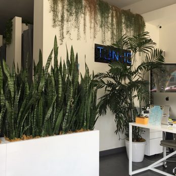 Tonic Wellness Boutique - Peace on Beverly - Cryotherapy Near Me - Los Angeles, California Tonic Wellness Boutique - Peace on Beverly - Cryotherapy Near Me - Los Angeles, California