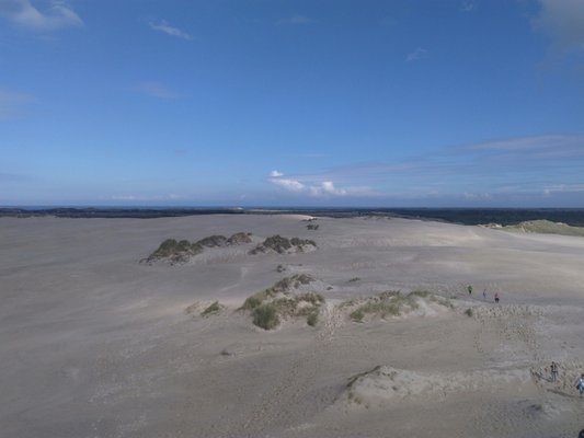 Råbjerg Mile by null