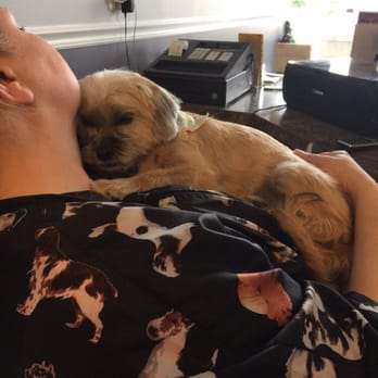 Clips 'n Wiggles - Sleepy puppy snuggles! - Pet Groomers Near Me - Algonquin, Illinois