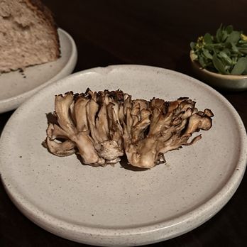 Bak Restaurant - Maitake, sea lettuce, dulse - Restaurants Near Me - Amsterdam, New Hampshire