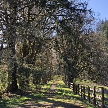 The Cabins at Beaver Creek - Very short and beautiful walk alongside pasture to Beaver Creek - Guest Houses Near Me - Beaver, Washington