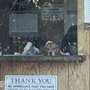 Photo of Finwall's Diagnostic & Auto Repair