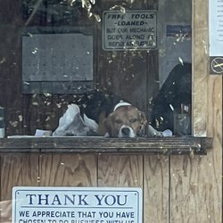 Finwall's Diagnostic & Auto Repair - The store owner and operator