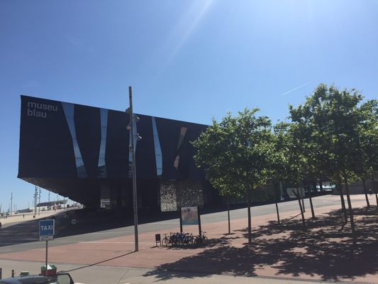 Museum of Natural Sciences of Barcelona by null