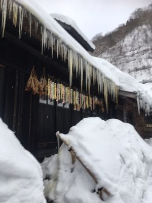 Tsurunoyu Onsen by null