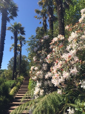 Logan Botanic Garden by null