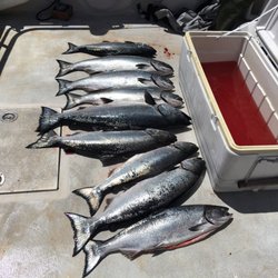 Westwind Charter Sport Fishing & Excursions - The Big Haul!