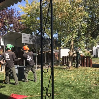 A1 Tree Service - Teamwork - Tree Services Near Me - Spokane Valley, Washington