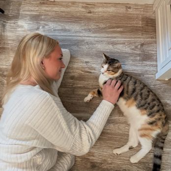 Cattfeinated Cat Cafe - Cafes Near Me - Greensburg, Pennsylvania