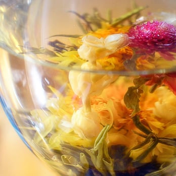 Boulder Dushanbe Teahouse - Blooming tea. - Tea Rooms Near Me - Boulder, Colorado