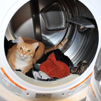 Paramount Appliance Repair - Appliances & Repair Near Me Paramount Appliance Repair - Appliances & Repair Near Me