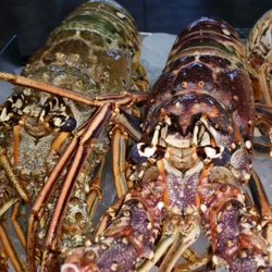 Southern Seafood