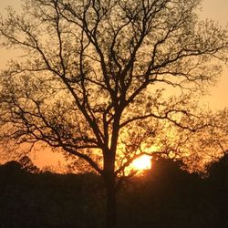 Windmill Ranch Venue - Beautiful sunsets