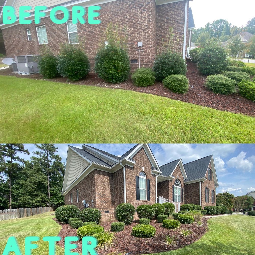 SPARTA LAWN CARE Updated August 2024 71 Photos Columbia, South