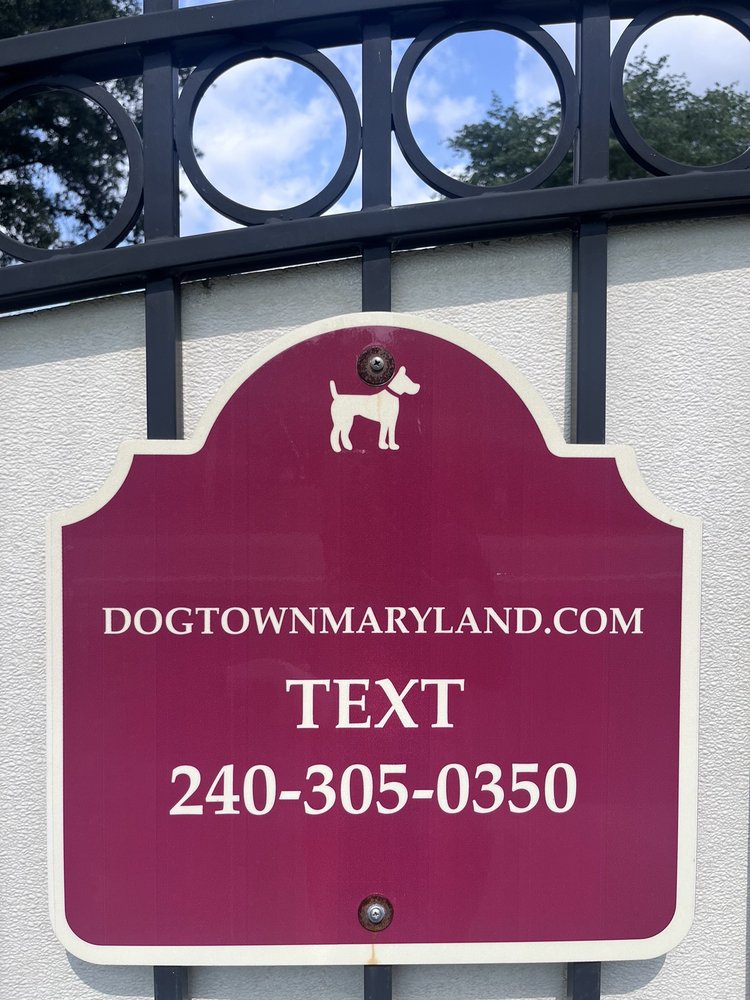 DOGTOWN Updated September 2024 18 Reviews 14200 Brandywine Rd