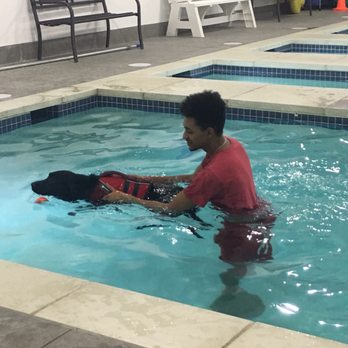 K9 Aquatic Center - Rehabilitation Center Near Me - Potomac, Maryland