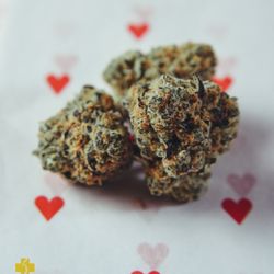 Green Solutions