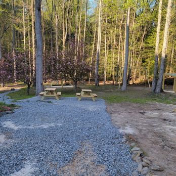 DLT General Construction - a picnic area in the woods - Painters Near Me DLT General Construction - a picnic area in the woods - Painters Near Me