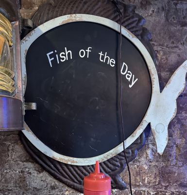 Half Shell by null Half Shell by null