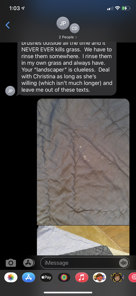 Slide of Joe's Painting