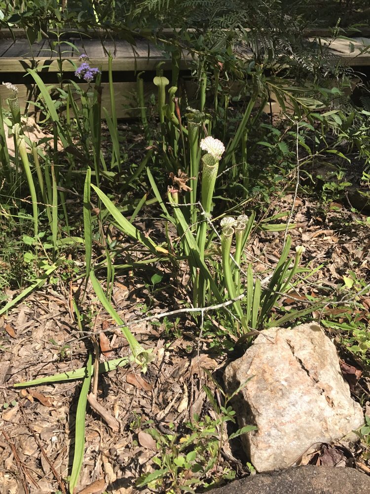 Kreher Preserve & Nature Center - social services organization in Auburn, AL