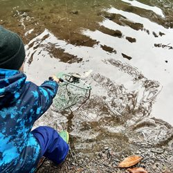Rainbow Trout Farm