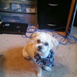 Sassy's spunky new hair-do!