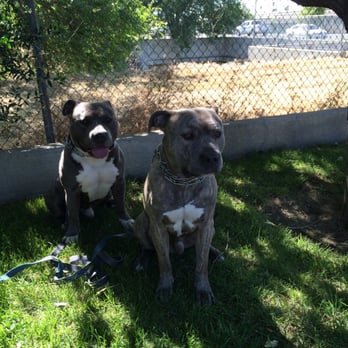 Antioch Marina - These two love walking here! - Marinas Near Me - Antioch, California